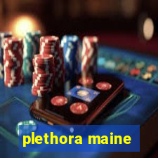 plethora maine